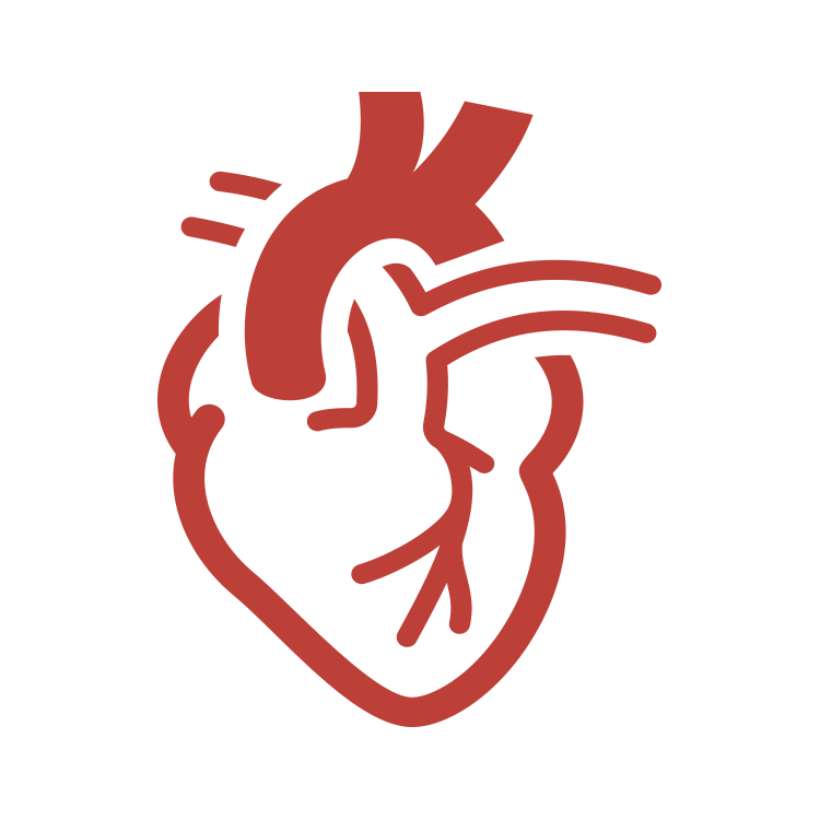Dr. Md.Yousuf Kabir Logo